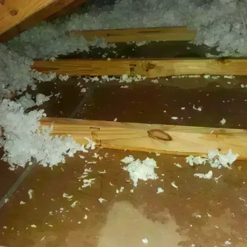 Attic Water Damage in Barview, OR