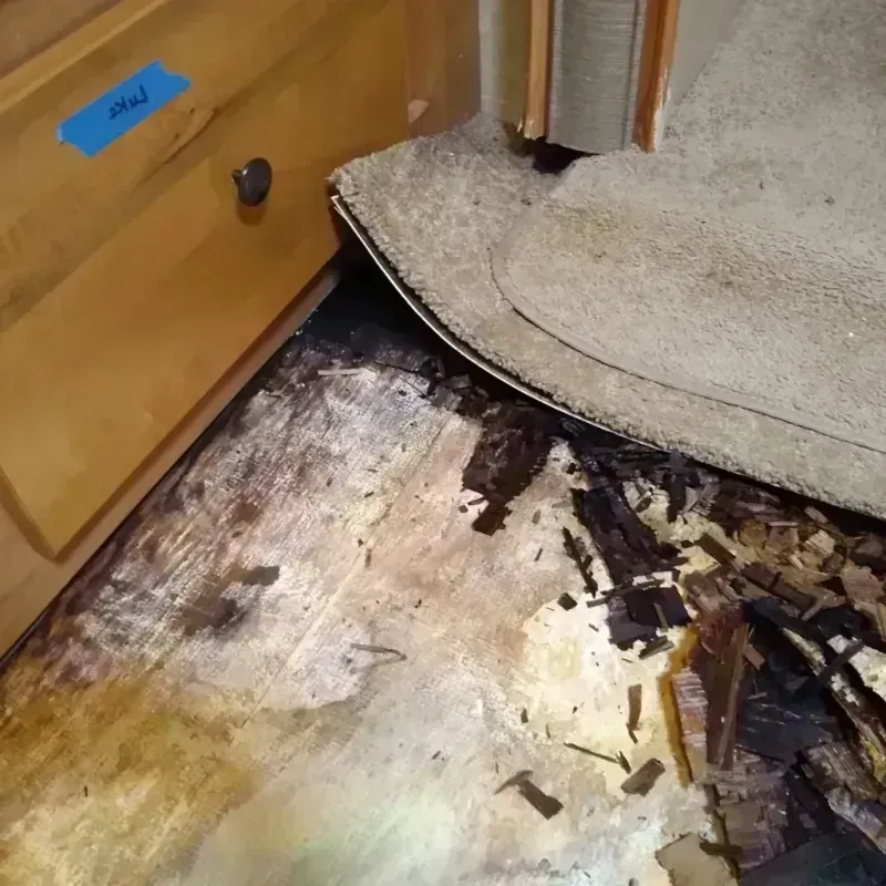 Best Wood Floor Water Damage Service in Barview, OR